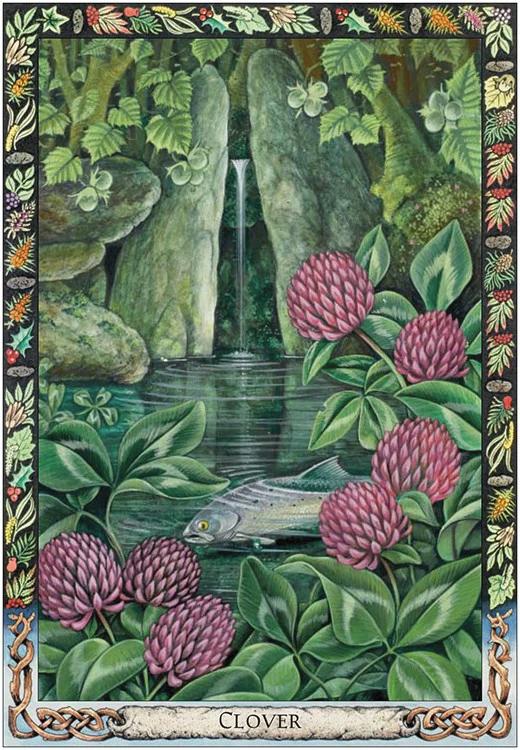 The Druid Plant Oracle Philip Carr Gomm Stephanie Carr Gomm The Druid Plant Oracle Philip Carr Gomm Stephanie Carr Gomm