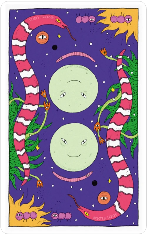 Whimsical Witch Tarot in a Tin, Helene Lespangnard 9