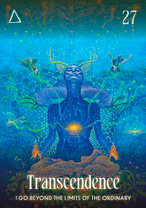 Šamanské karty Shamanic Oracle, Magali Tamani 6