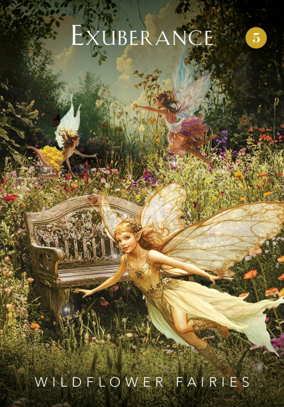 The Mystical Garden Oracle, Denise Linn 3