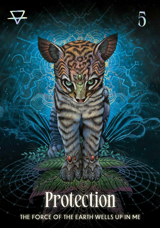 Šamanské karty Shamanic Oracle, Magali Tamani 2