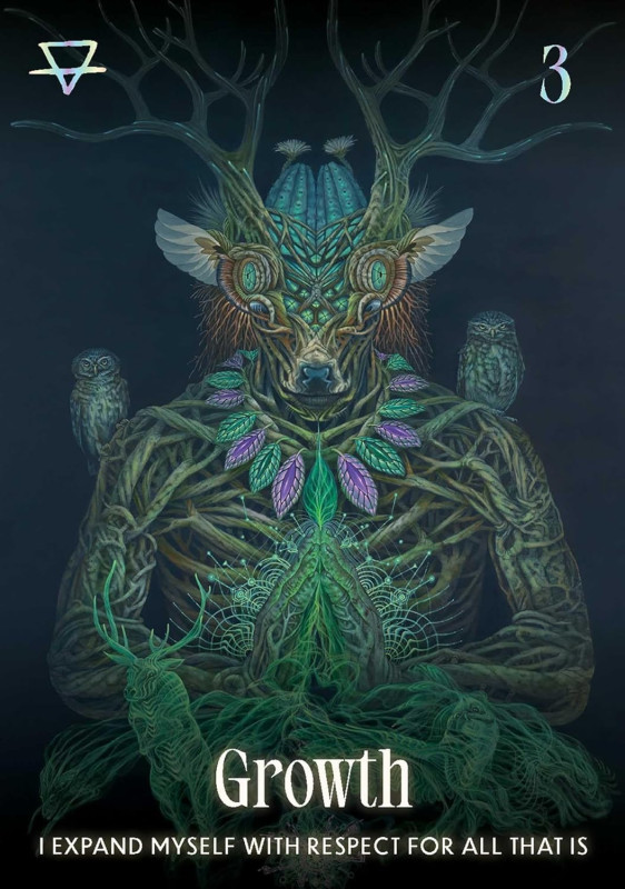 Shamanic Oracle, Magali Tamani 1