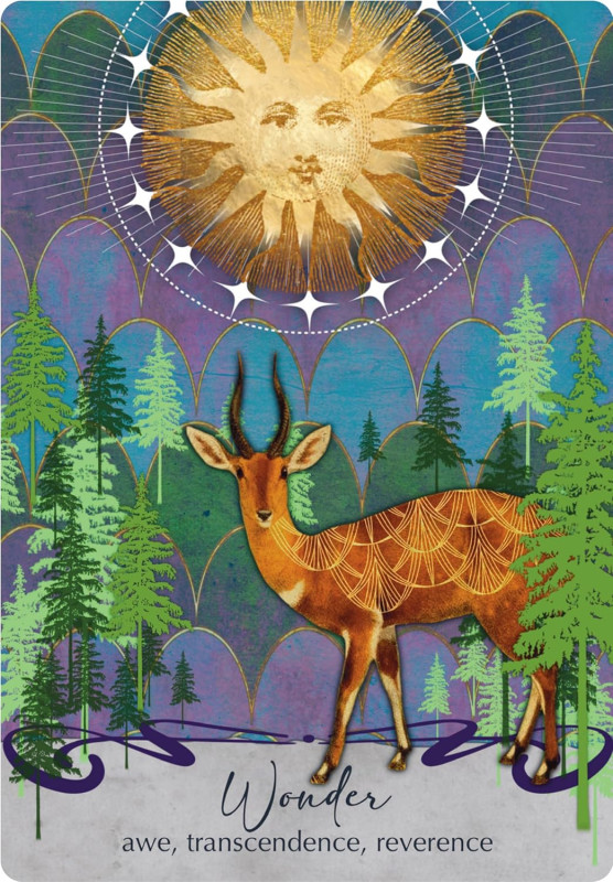 The Oracle of Awakening, Lalania Simone 5