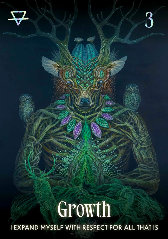 Šamanské karty Shamanic Oracle, Magali Tamani 1
