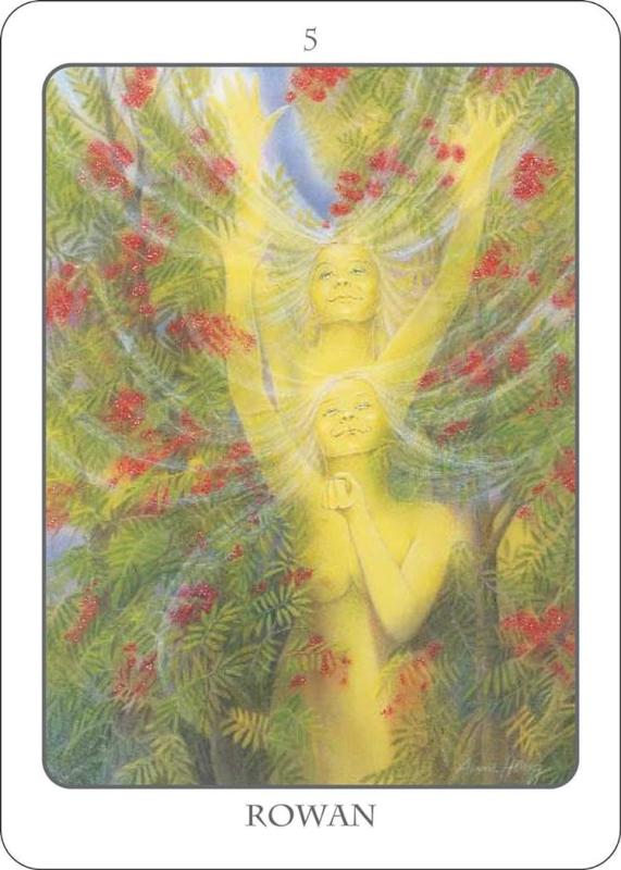 The Tree Angel Oracle Deck, Fred Hageneder