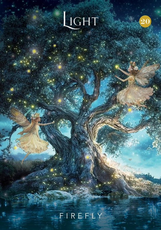 The Mystical Garden Oracle, Denise Linn 5