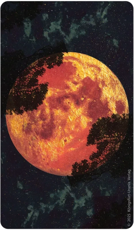 Amber Moon Tarot, Hepie Bartkowski 6