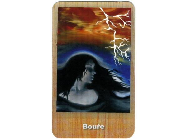 Vykládací karty pro ženy/Pohlazení pro ženskou duši, Artemis Lana