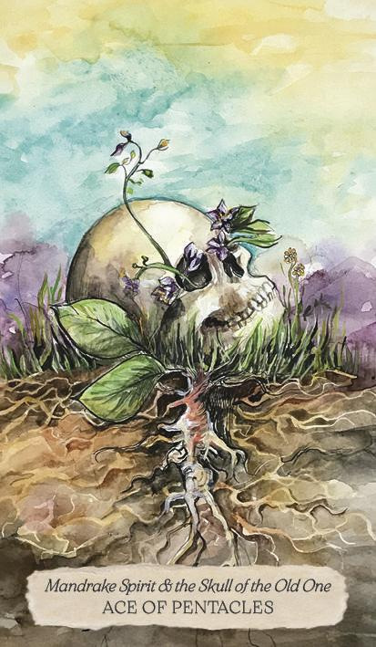 Bonestone & Earthflesh Tarot, Avalon Cameron 6