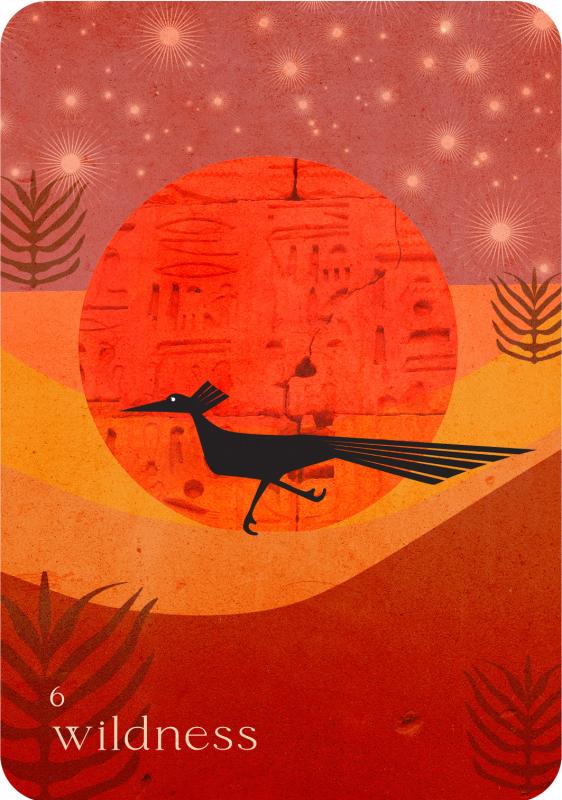 Wild Whispers Oracle: Messages from the desert 3