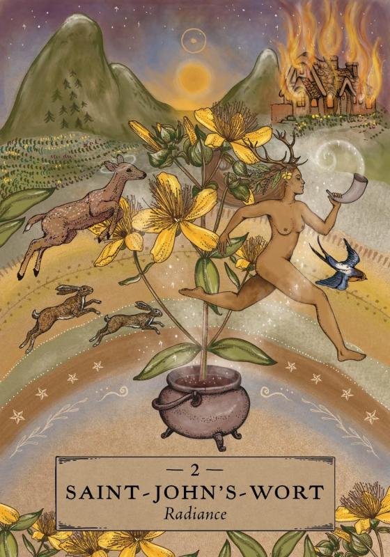 The Herbal Astrology Oracle Pocket, Adriana Ayales