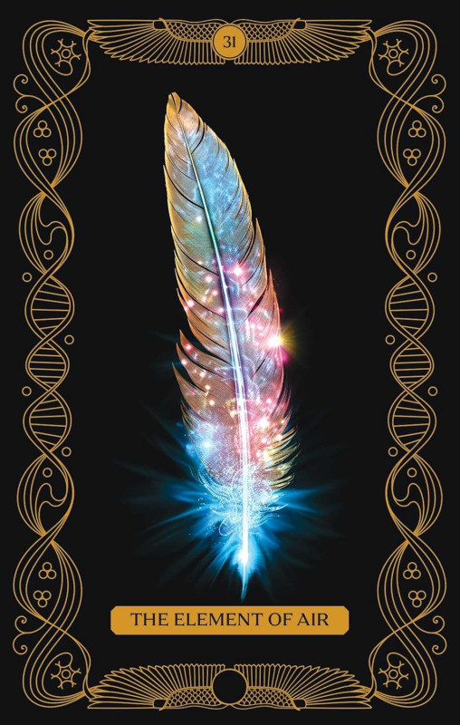 What We've Forgotten Oracle Deck, Amy Miranda 4