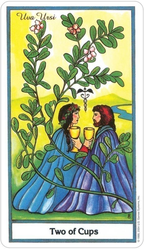 The Herbal Tarot, Michael Tierra, Candis Cantin