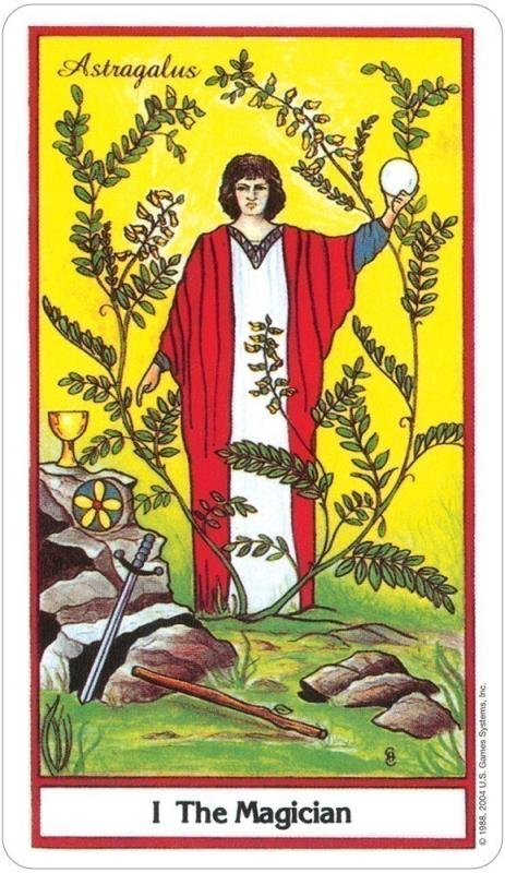 The Herbal Tarot, Michael Tierra, Candis Cantin