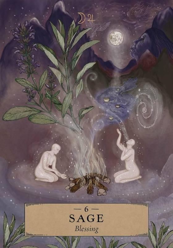 The Herbal Astrology Oracle Pocket, Adriana Ayales