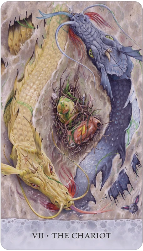 Tarot of Tides: The Adventures of a Duck Named Bob, Steven Hutton 1