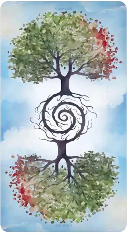 Calandra Tarot, Trish Sullivan 7