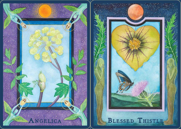 Plant Spirits Oracle, Laura Aversano 1