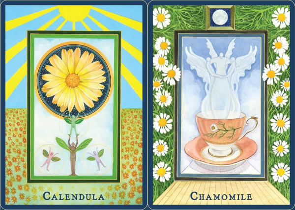 Plant Spirits Oracle, Laura Aversano 2