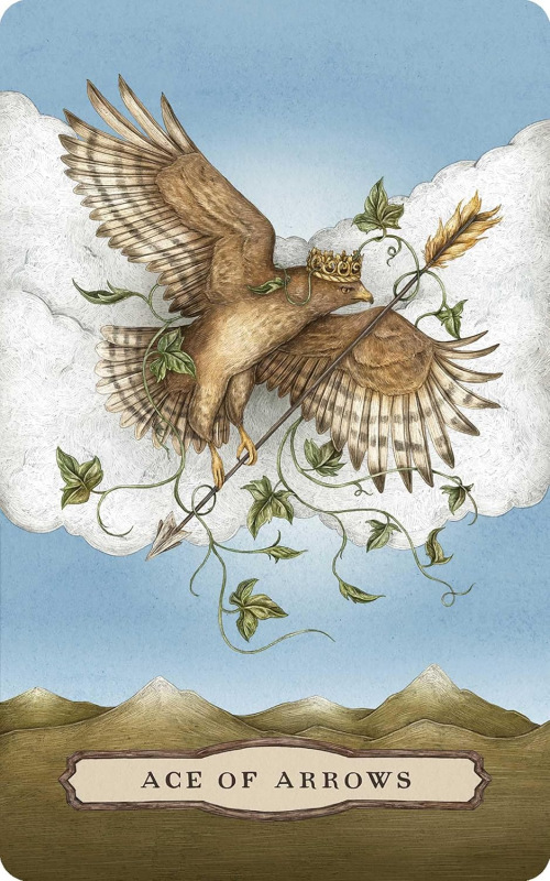 Tarot of the Woodland Wardens, Jessica Roux 5