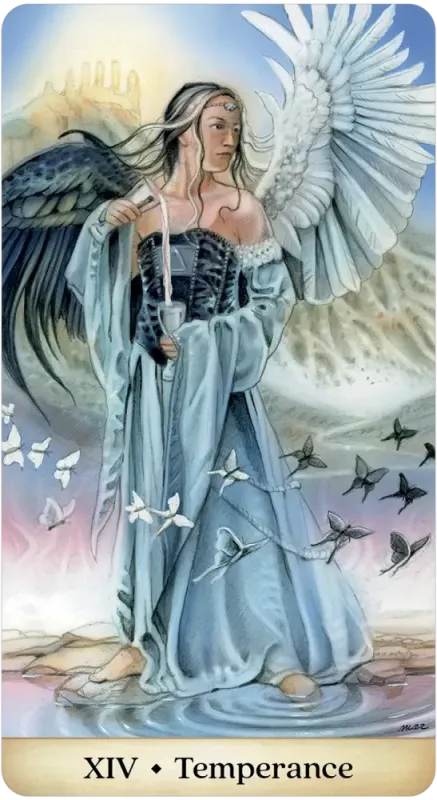 Calandra Tarot, Trish Sullivan 4