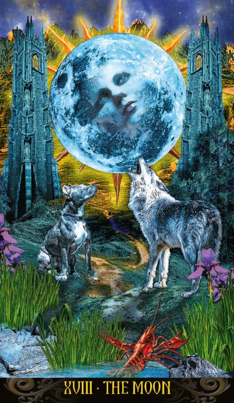 Illuminati Tarot - New Edition so Zlatými Okrajmi 6