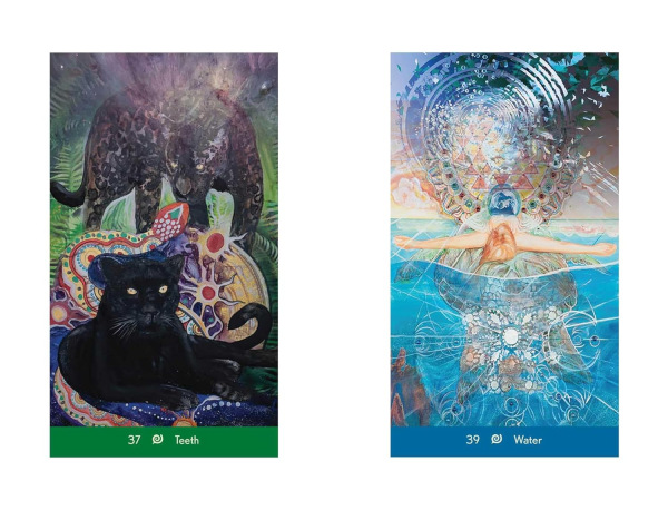 Dream Wisdom Oracle, Greg Mahr, Heather Taylor-Zimmerman 4