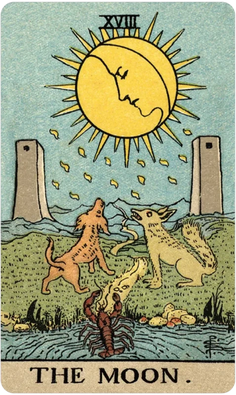 Smith-Waite Tarot Deck Borderless Miniature Edition 4