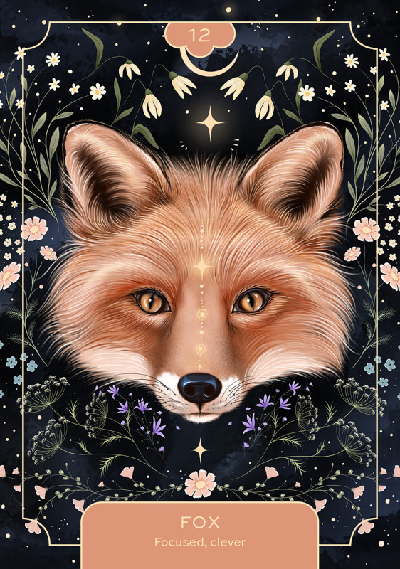 Animal Spirit Oracle, Lea Androic 3