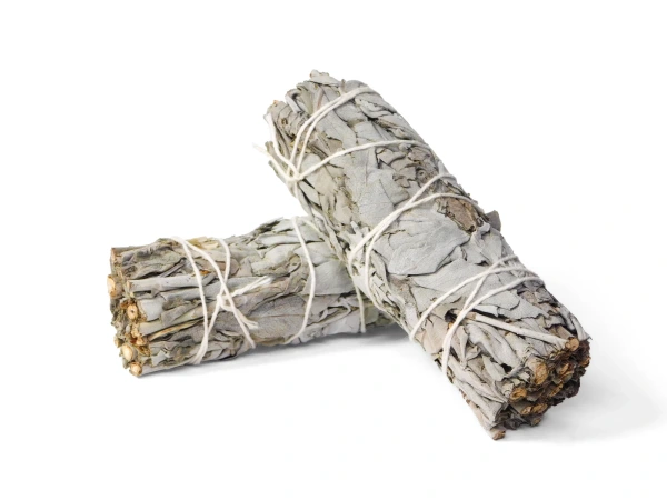 Biela Šalvia Zväzok 10 cm na Vydymovanie