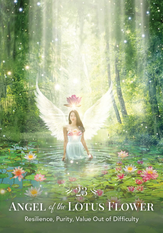 Angels of Nature Oracle, Sandra Anne Taylor 2