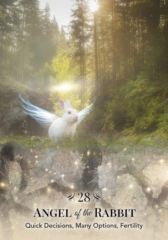 Angels of Nature Oracle, Sandra Anne Taylor 5