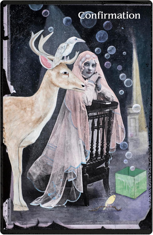 The Oracle of Rewilding, Alexandra Eldridge, Sherry Salman 3