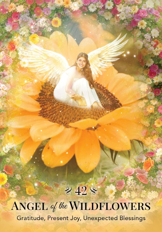 Angels of Nature Oracle, Sandra Anne Taylor 8