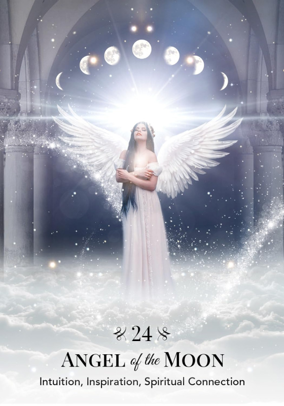Angels of Nature Oracle, Sandra Anne Taylor 3