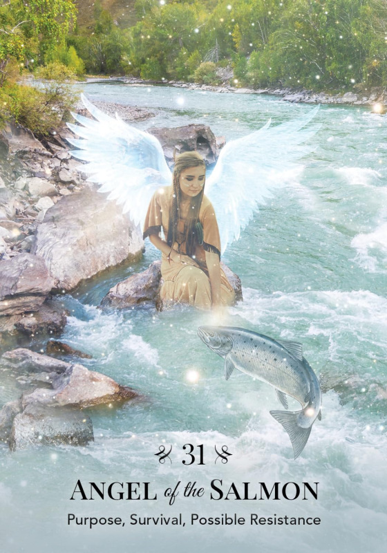 Angels of Nature Oracle, Sandra Anne Taylor 6