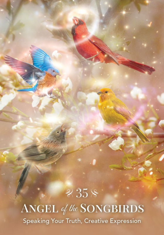 Angels of Nature Oracle, Sandra Anne Taylor 7