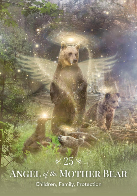 Angels of Nature Oracle, Sandra Anne Taylor 4