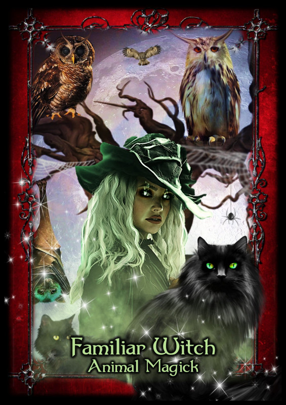 Witches of the Craft Oracle Cards, B. Meiklejohn-Free, F. K. Peters 6