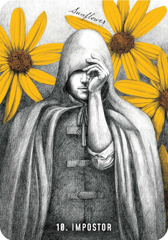 Akasha Oracle Deck, Emily Nicolle 4