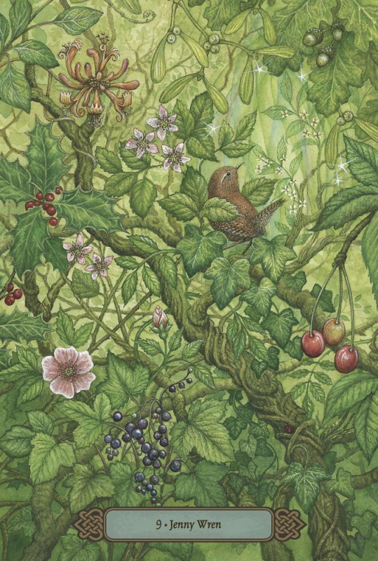 Forest of Enchantment Oracle,Lunaea Weatherstone, Meraylah Allwood 4