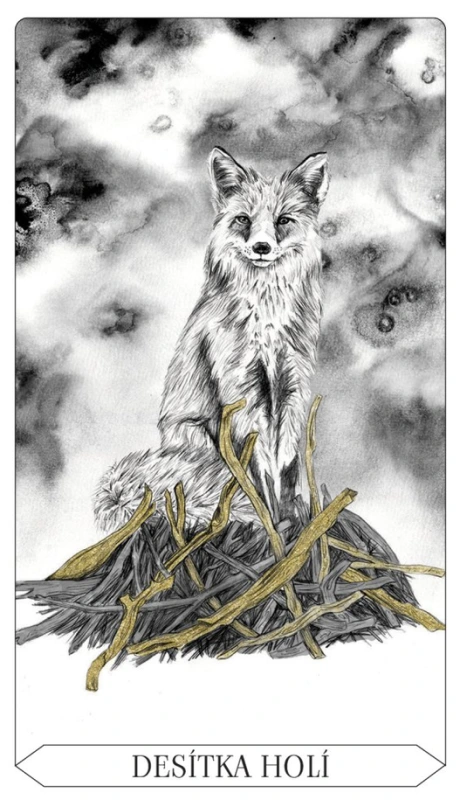Tarot vnitřního světla, Lauren Aletta 6