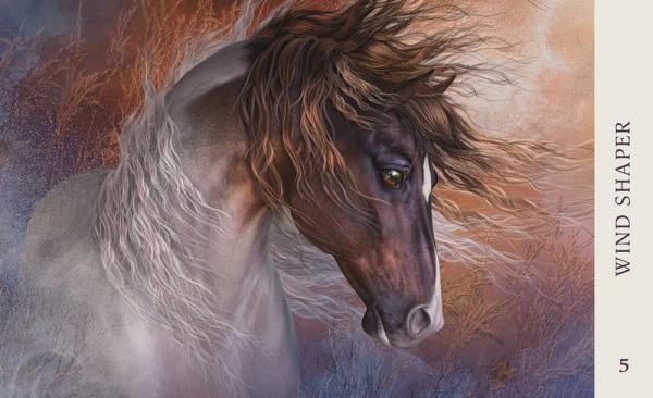 Horse Wisdom Oracle, Kathy Pike