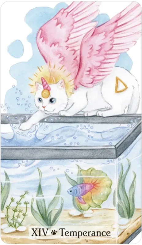 Caticorn Tarot, Pamela Chen