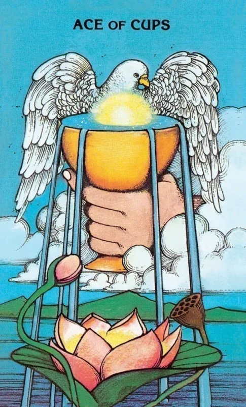 Morgan-Greer Tarot in a Tin 6