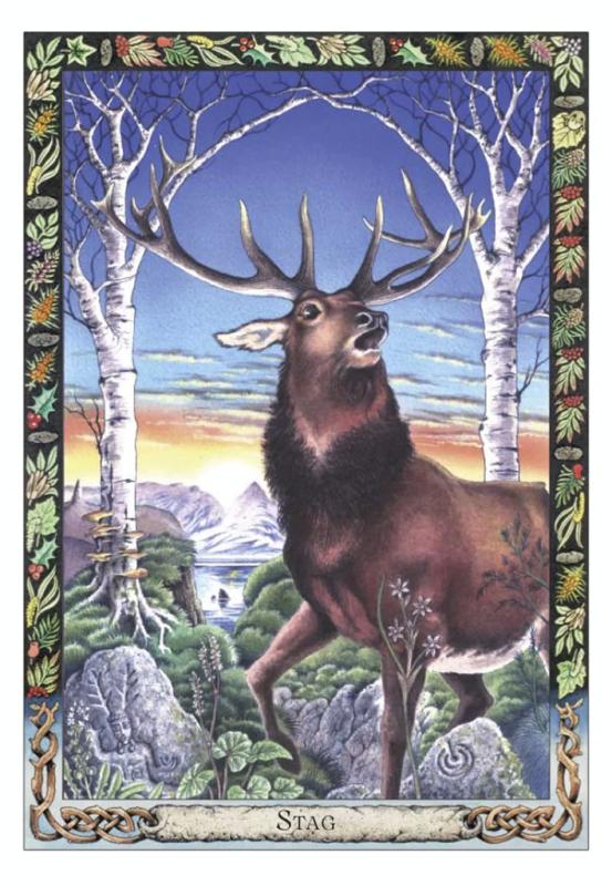 The Druid Animal Oracle Deck, Philip-Stephanie Carr-Gomm