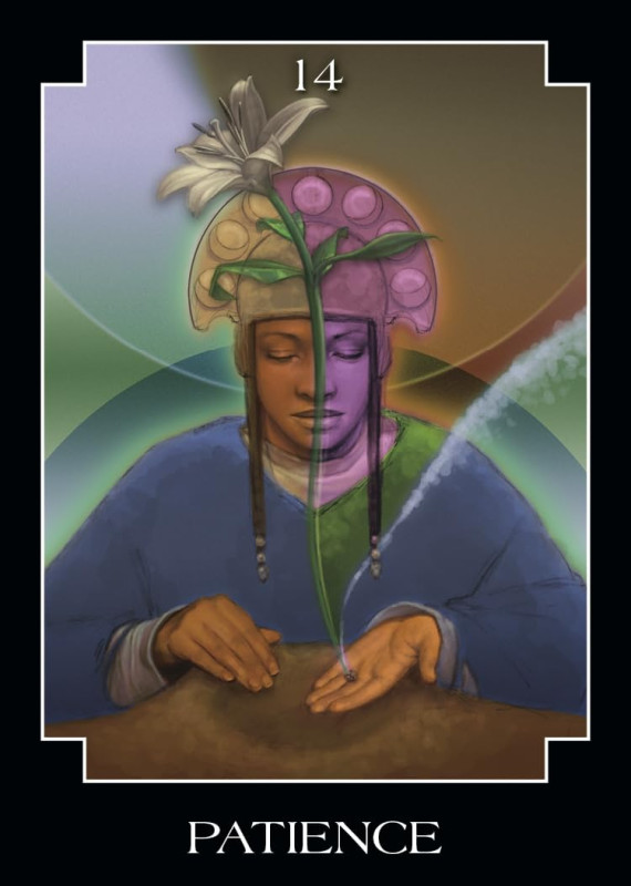 The Psychic Tarot Pocket Oracle 5