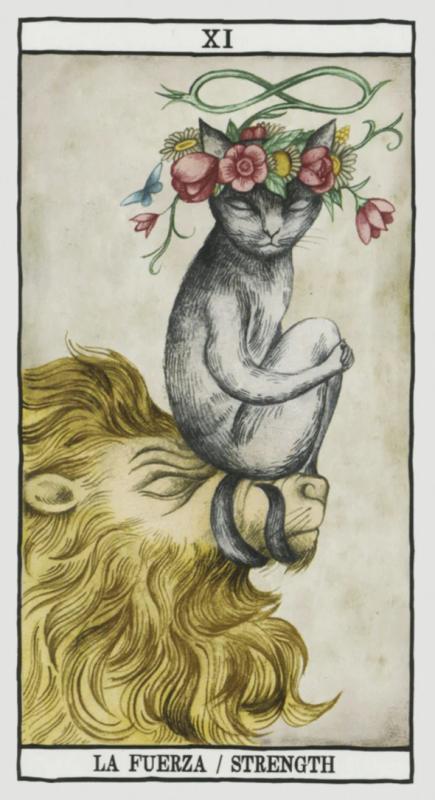 Tarot Cats, Ana Juan