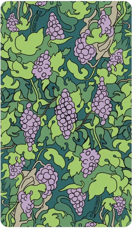 Florana Tarot, James Ferry 8