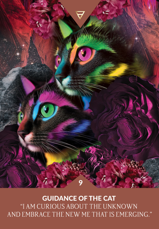 Guidance from Gaia Oracle, Shannon Kaiser 1